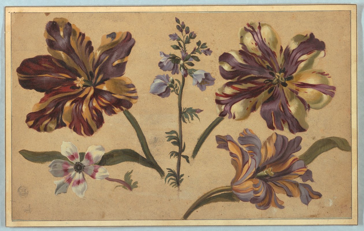 Vários Florais de Unknown artist