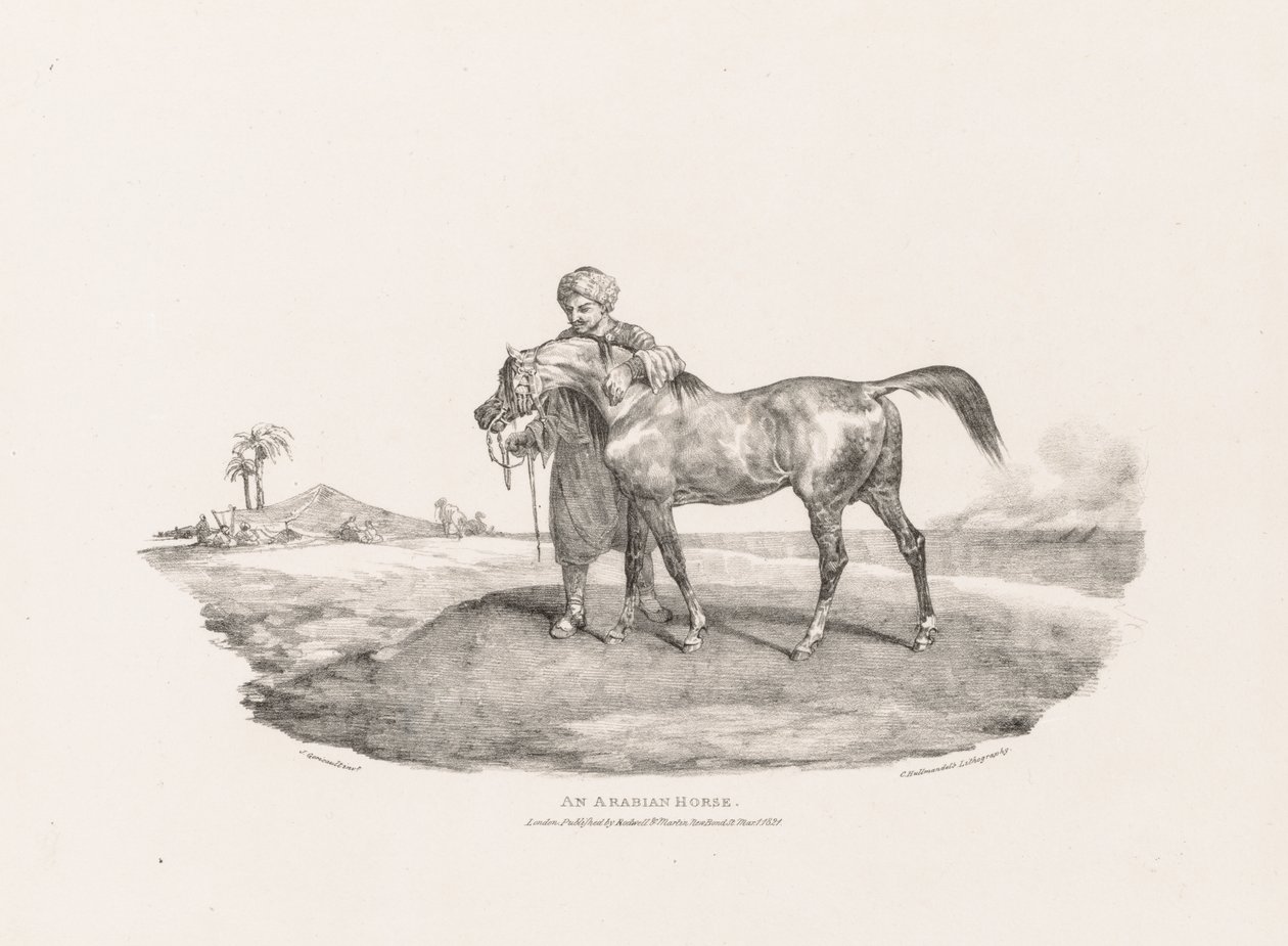 Vários assuntos tirados da vida e na pedra: um cavalo árabe de Unknown artist