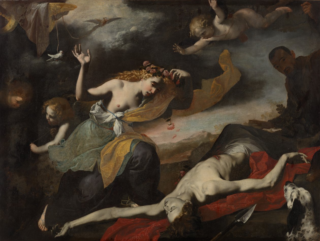 Vênus descobrindo o Adonis morto de Unknown artist
