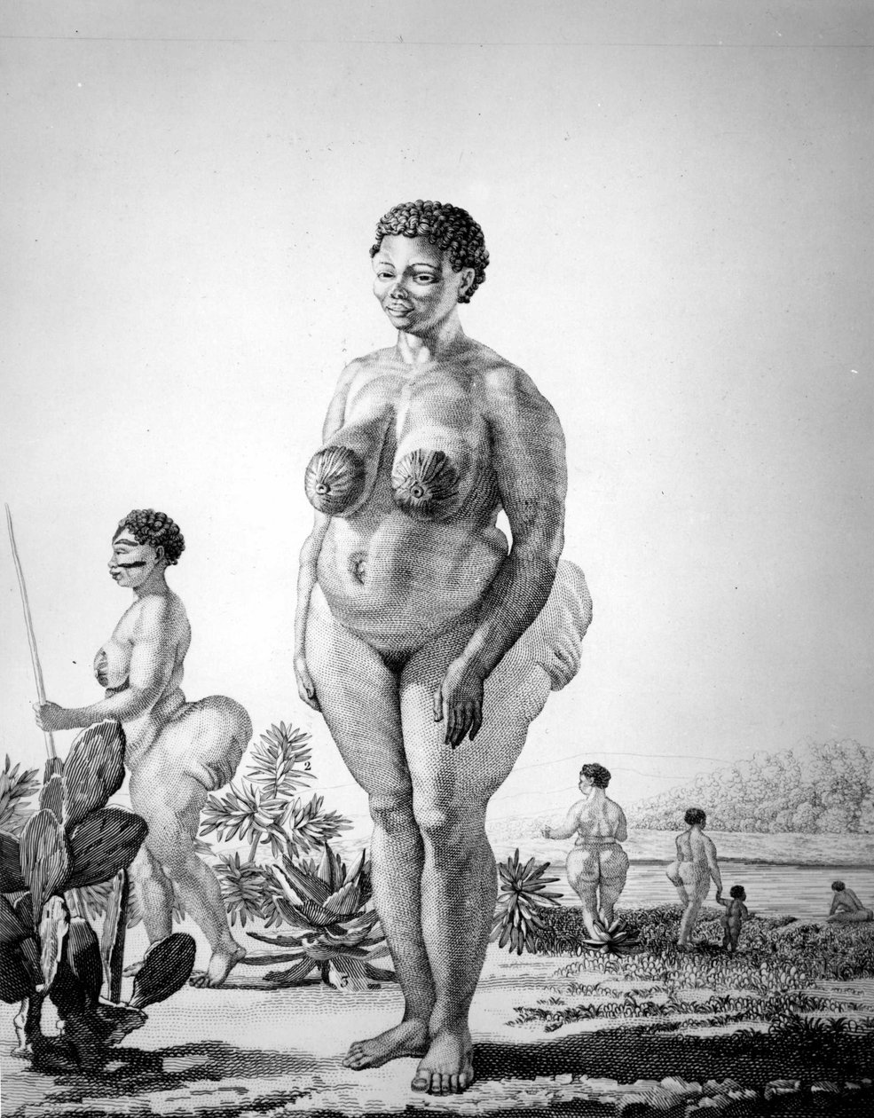 Venus Hottentote da África do Sul de Unknown artist
