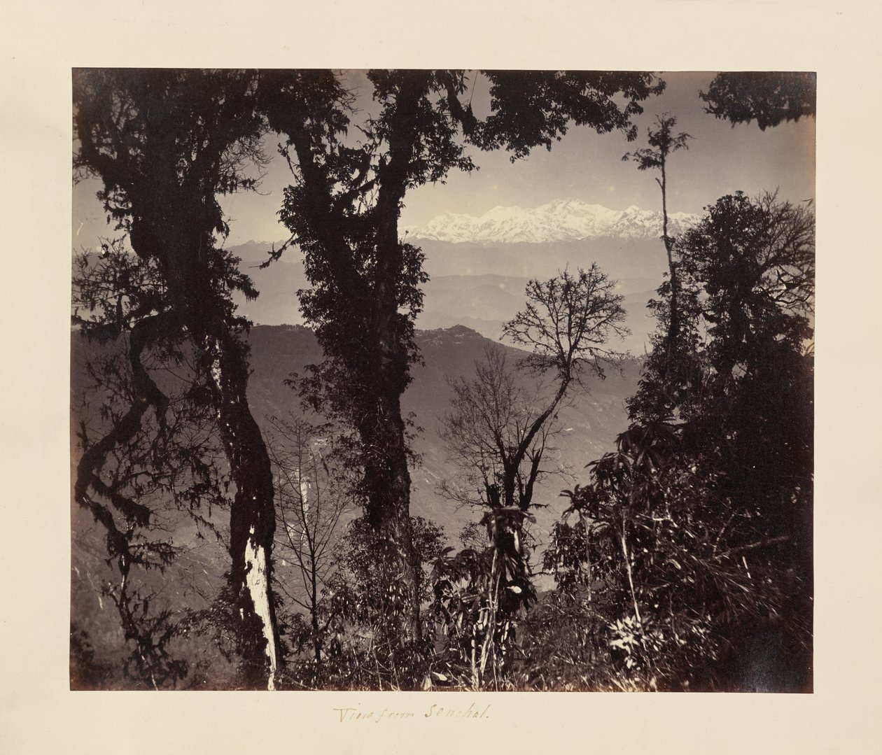 Vista de Senchal de Unknown artist