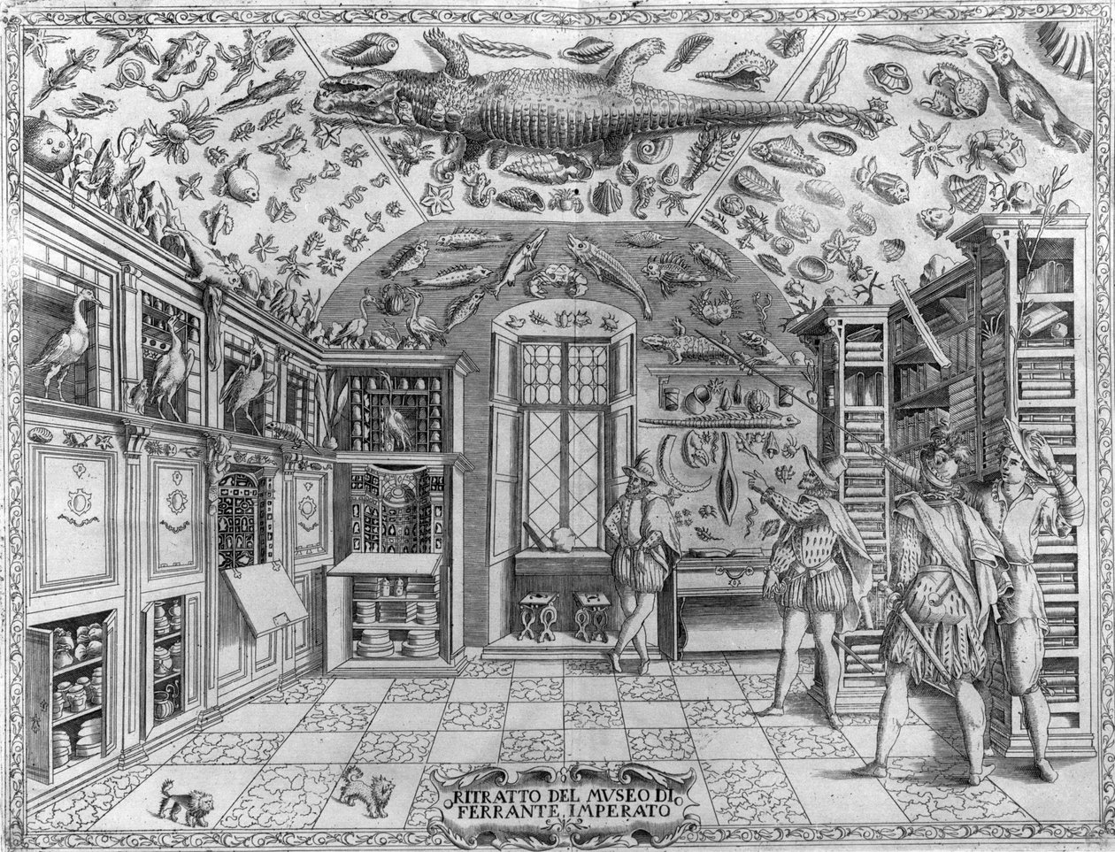 Vista do museu (gabinete) de curiosidades (museu enciclopédico) do farmacêutico Ferrante Imperato (1550 - 1631). Gravura a partir de 1678. Museu do boticário napolitano Ferrante Imperato. de Unknown artist
