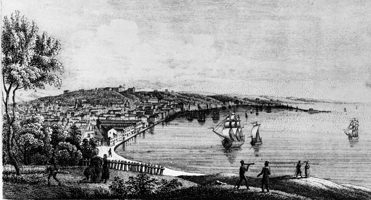 Vista do porto da cidade de Trieste (no período austríaco), gravura do século XIX. de Unknown artist