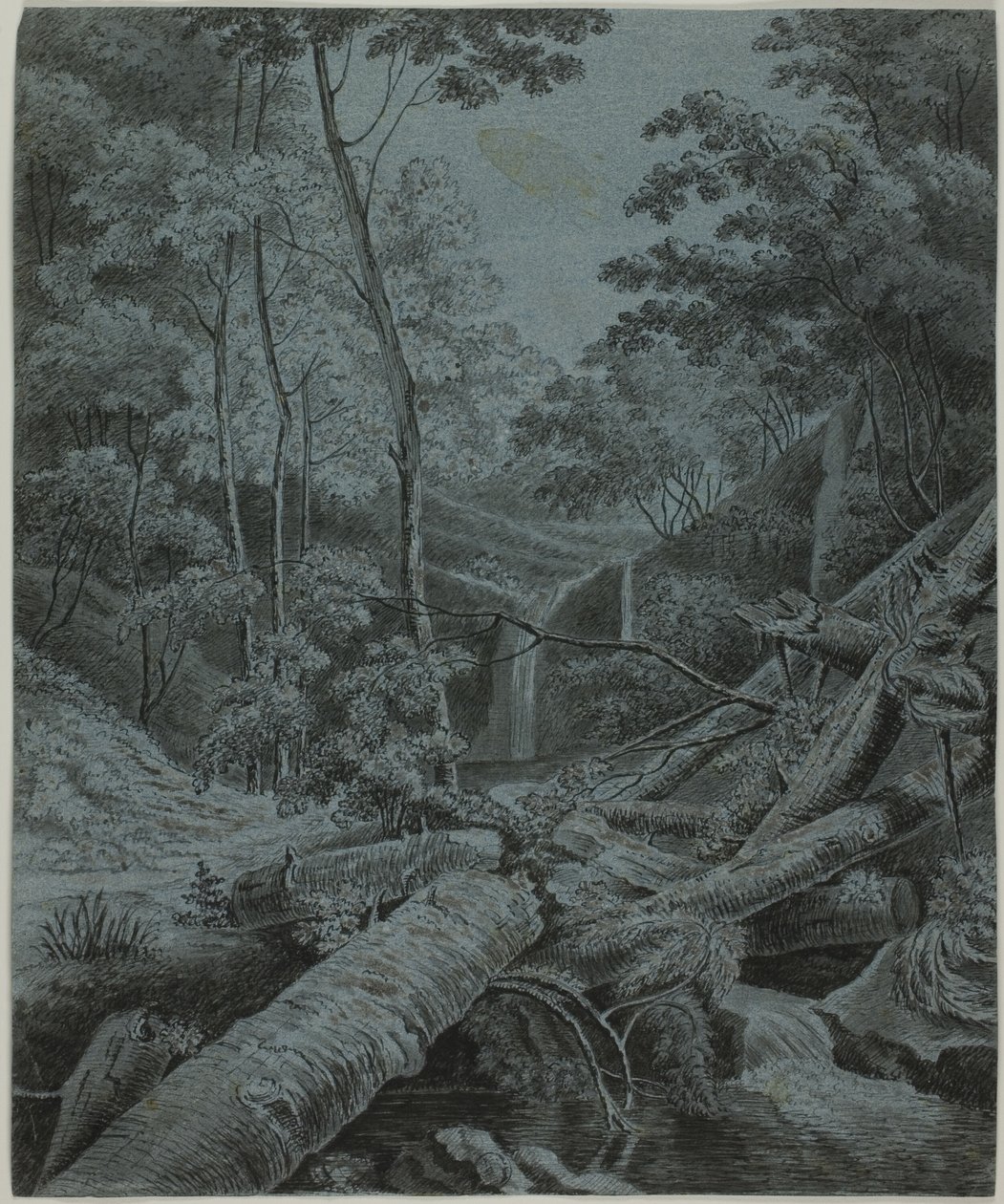 Queda de água e troncos caídos na floresta de Unknown artist