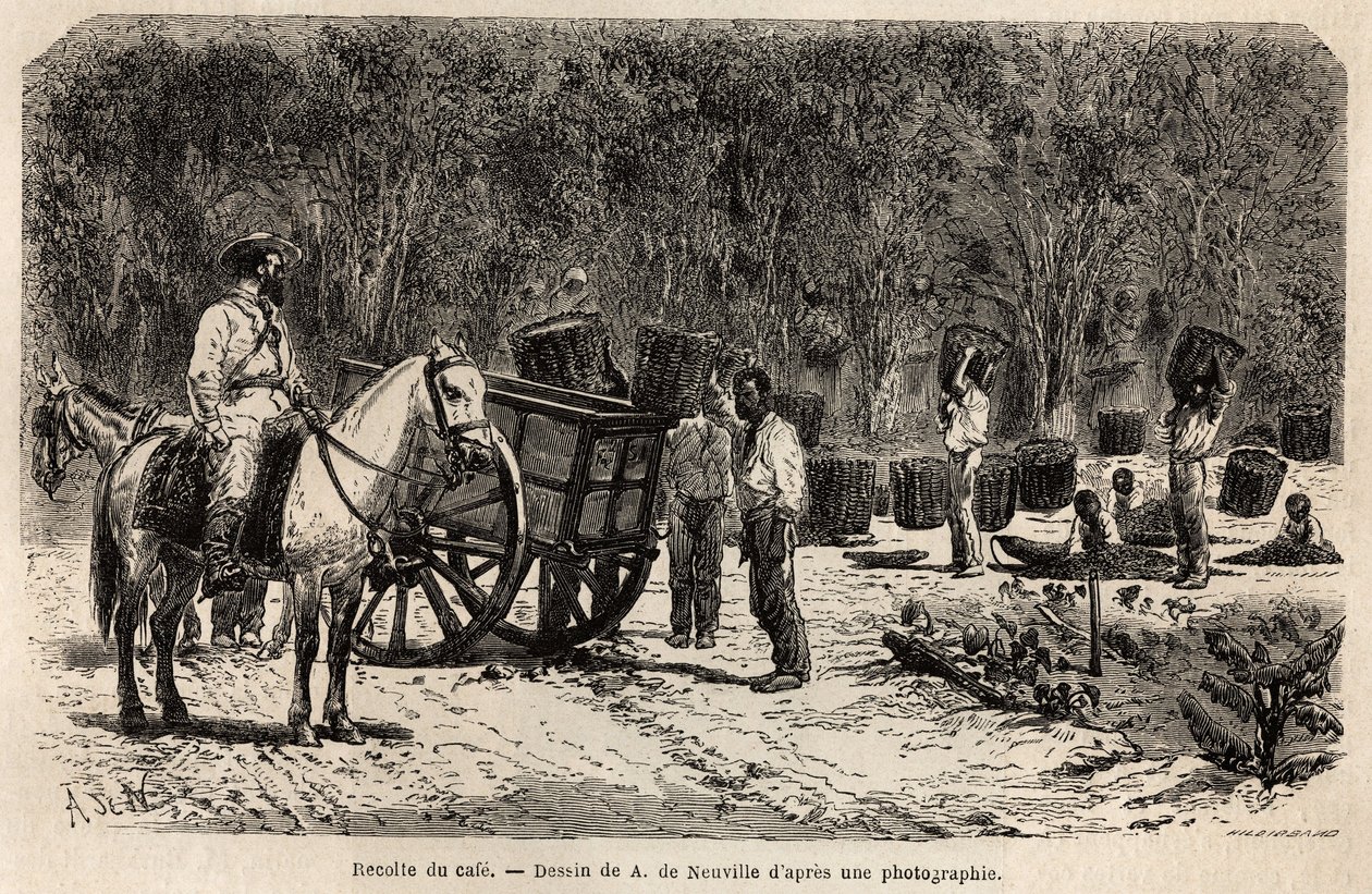 Quando o café é recolhido, os homens recolhem e transportam as pesadas cestas cheias de café, enquanto as crianças limpam a polpa que rodeia as mangas de café. Gravura para ilustrar a viagem ao Brasil, história de M. e Mme Agassiz, em 1865-18 de Unknown artist