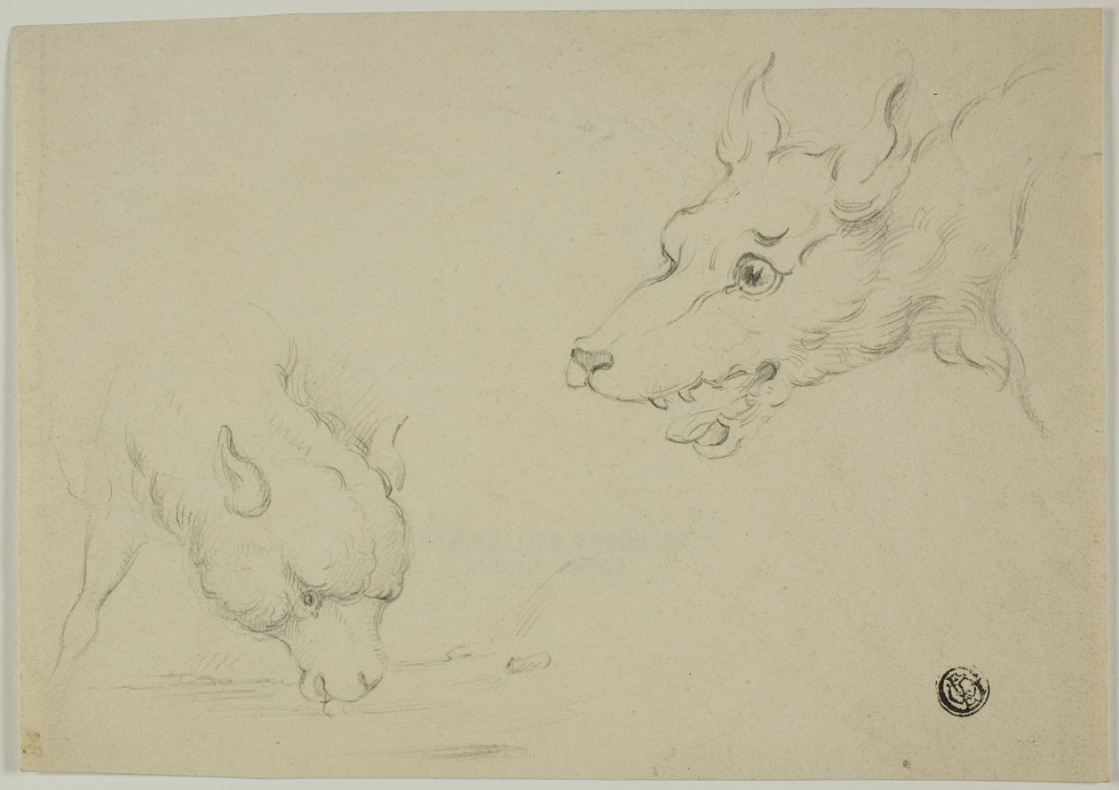 Lobo e Cordeiro de Unknown artist