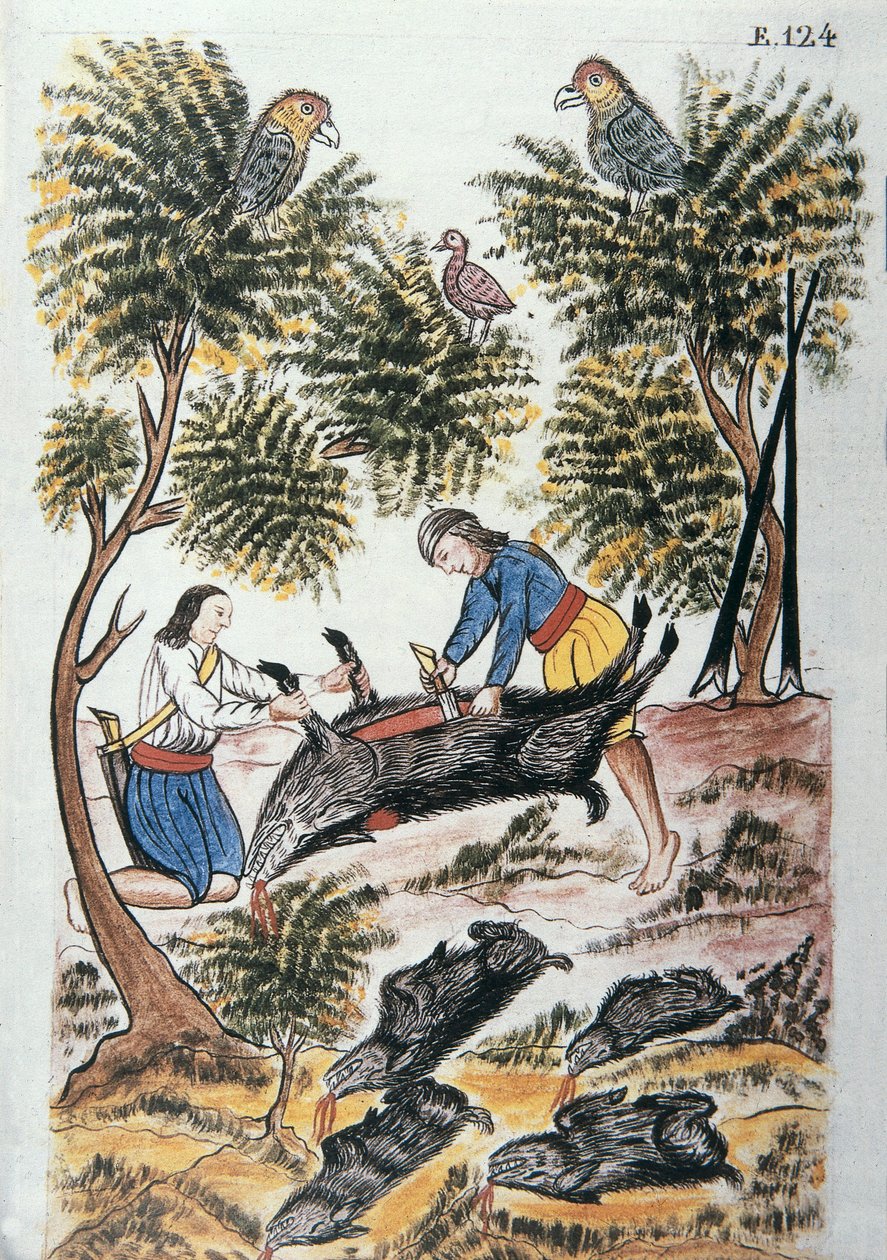 Jovens índios motilones talham um javali, do livro "Trujillo del Peru" ou "Códice Martínez Compañón", de Baltazar Martinez Compañón y Bujanda, bispo de Trujillo (1782-1785) de Unknown artist