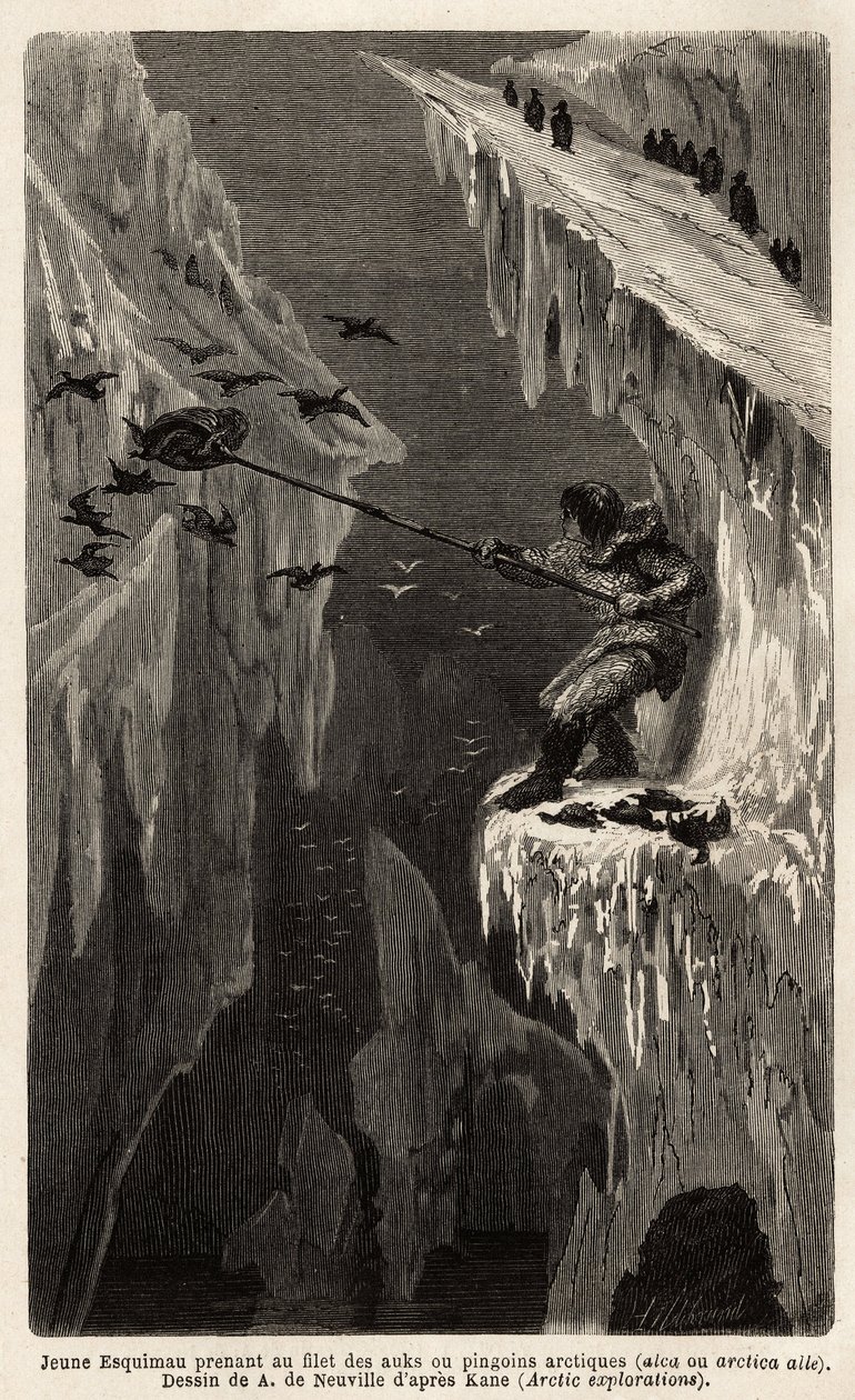 Jovens eskimau a apanhar pinguins do Árctico. Gravura para ilustrar a viagem ao mar livre do pólo Ártico, pelo Dr. Hayes, cirurgião da Marinha dos Estados Unidos, em 1860-1862, publicada no "Le tour du monde, nouveau journal des voyages", editado por Edoua de Unknown artist