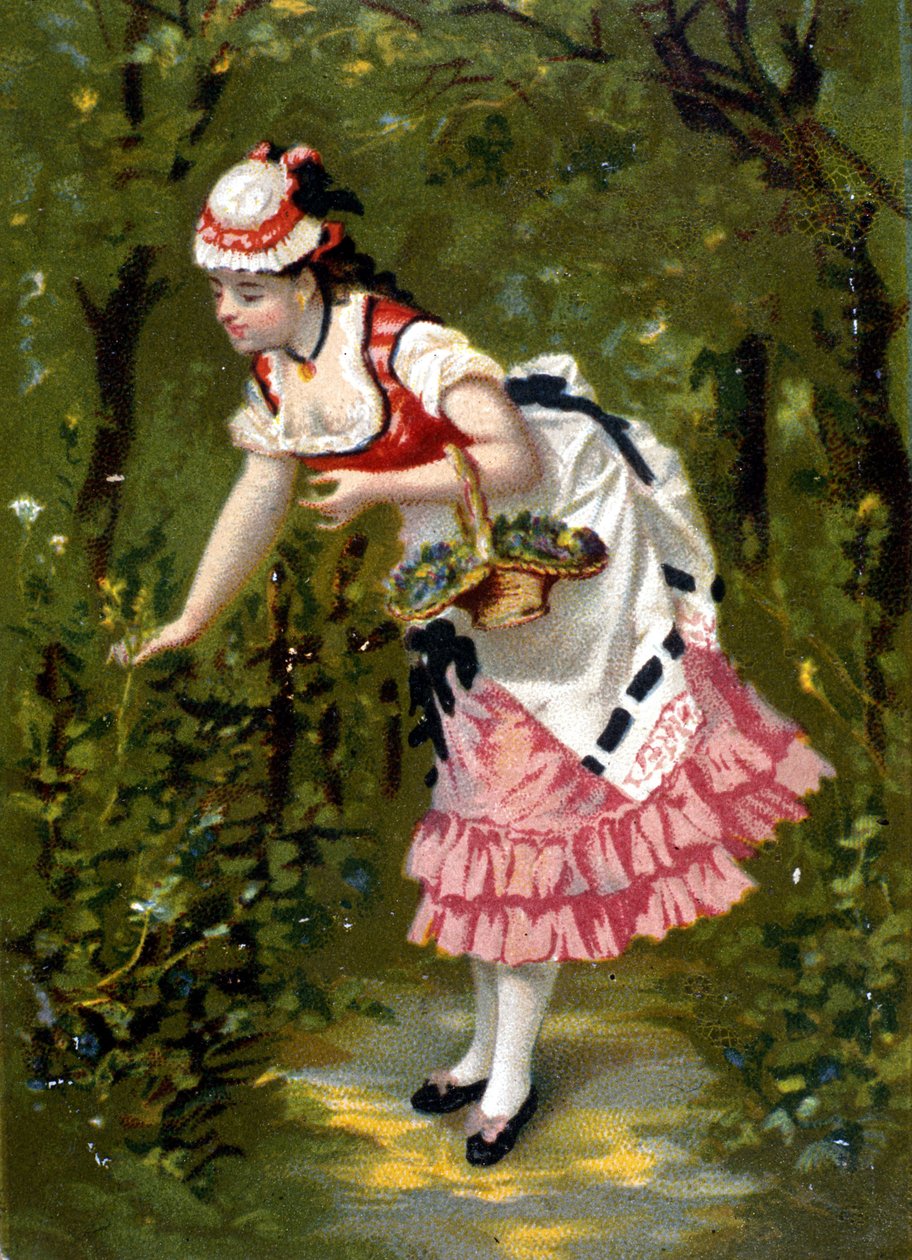 Uma jovem a apanhar flores. Cromolitografia/ de Unknown artist