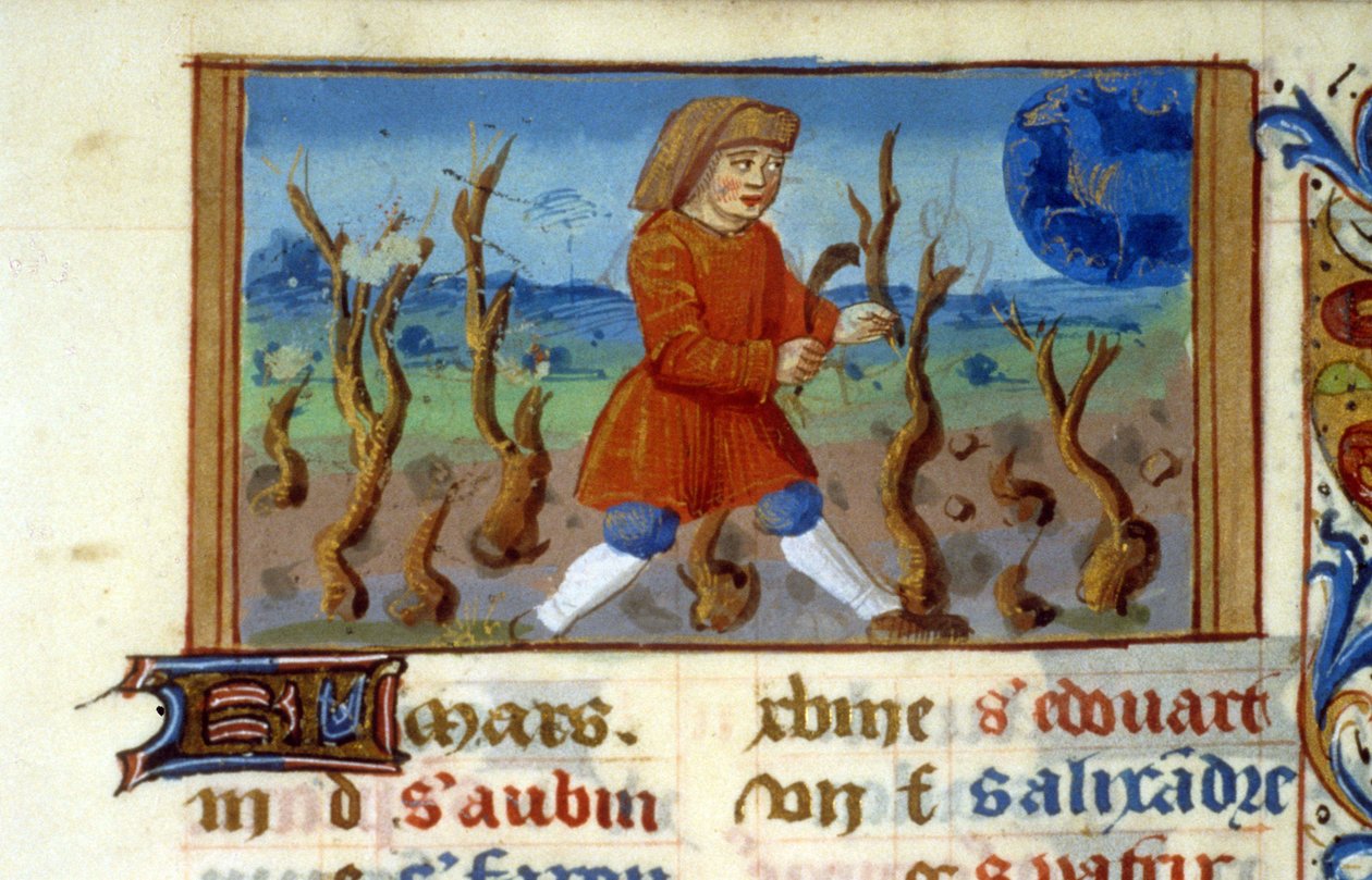 Zodíaco Áries e tamanho das árvores - Miniatura da Idade Média (ref. 137, 047r) - Solicitar permissão da Biblioteca Municipal de Toulouse (tel: 05 62 27 66 66) de Unknown artist