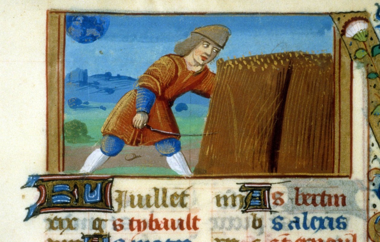 Leão Zodíaco e Colheita - Miniatura da Idade Média (ref. 137, 049r): Pedido de autorização da Biblioteca Municipal de Toulouse (tel: 05 62 27 66 66) de Unknown artist