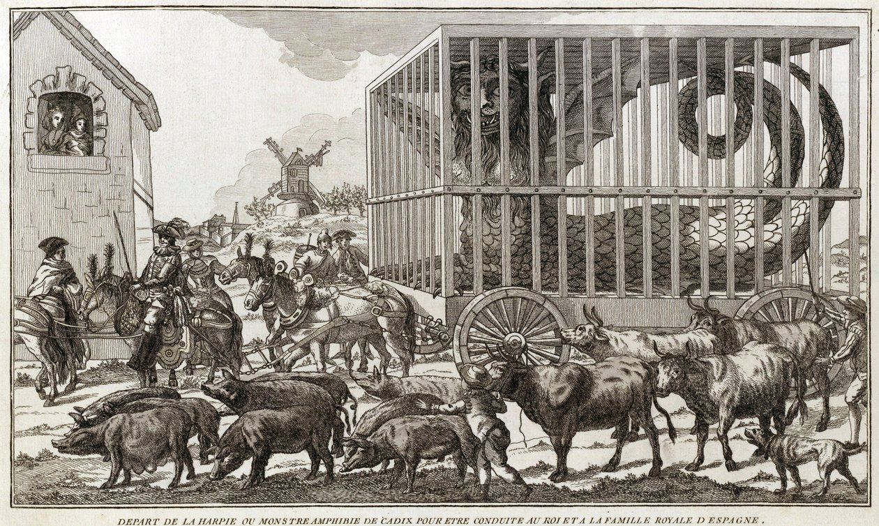 Zoomorfismo - Caricatura contra Maria - Antoinette - Partiu da Harpia ou monstro anfíbio de Cádiz para ser levado ao rei e à família real de Espanha: Este animal foi levado para as margens do Lago Fagua - 1784 - de Unknown artist