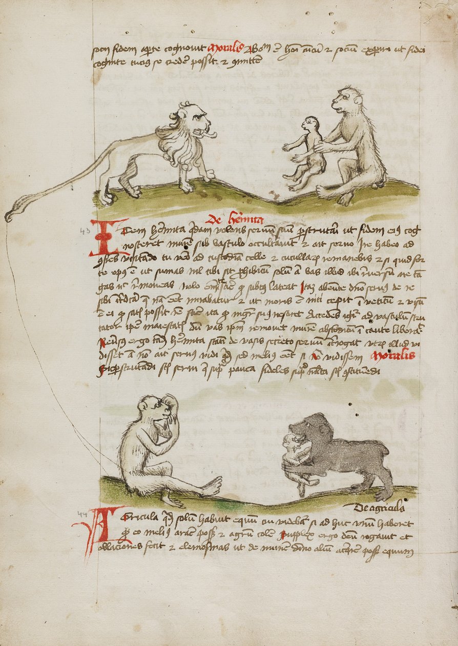 Um leão com um macaco e a sua cria; Um macaco; Um urso a comer um macaco jovem de Unknown artist/maker