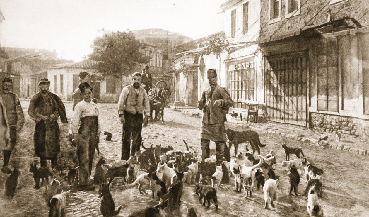 A bondade de um turco para com "o gato inofensivo e necessário": alimentar os bichanos sem-abrigo em Chanak após o bombardeamento, de "The Illustrated War News" (litografia) de Unknown photographer