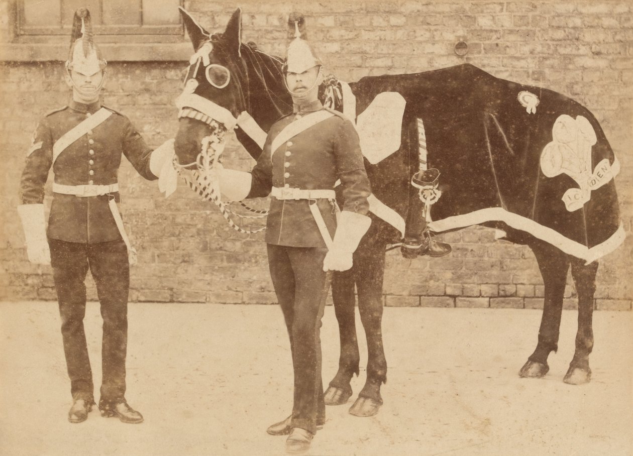 Um cavalo do 3º de Unknown