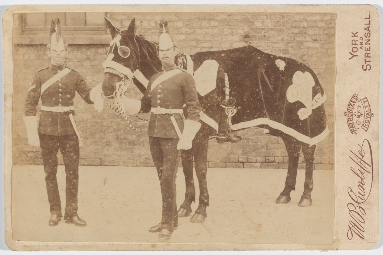 Um cavalo da 3ª de Unknown photographer