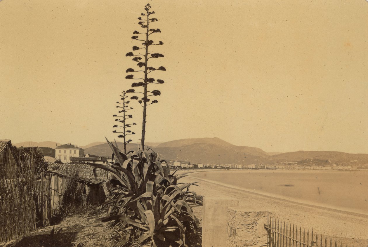 Álbum "Nice e arredores": vista da costa de Nice de Unknown photographer