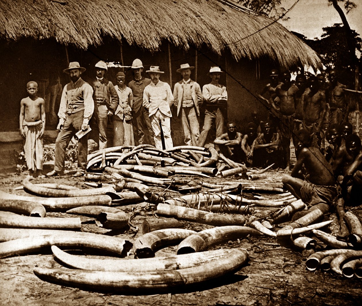 Caça colonial belga ao marfim de Unknown photographer