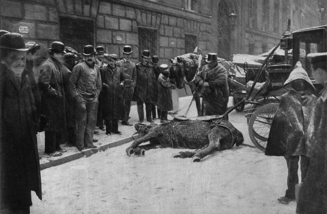 Morte de um cavalo de atrelagem nas ruas de Paris. Fotografia, final do século XIX, Paris. Coll. Selva. de Unknown photographer