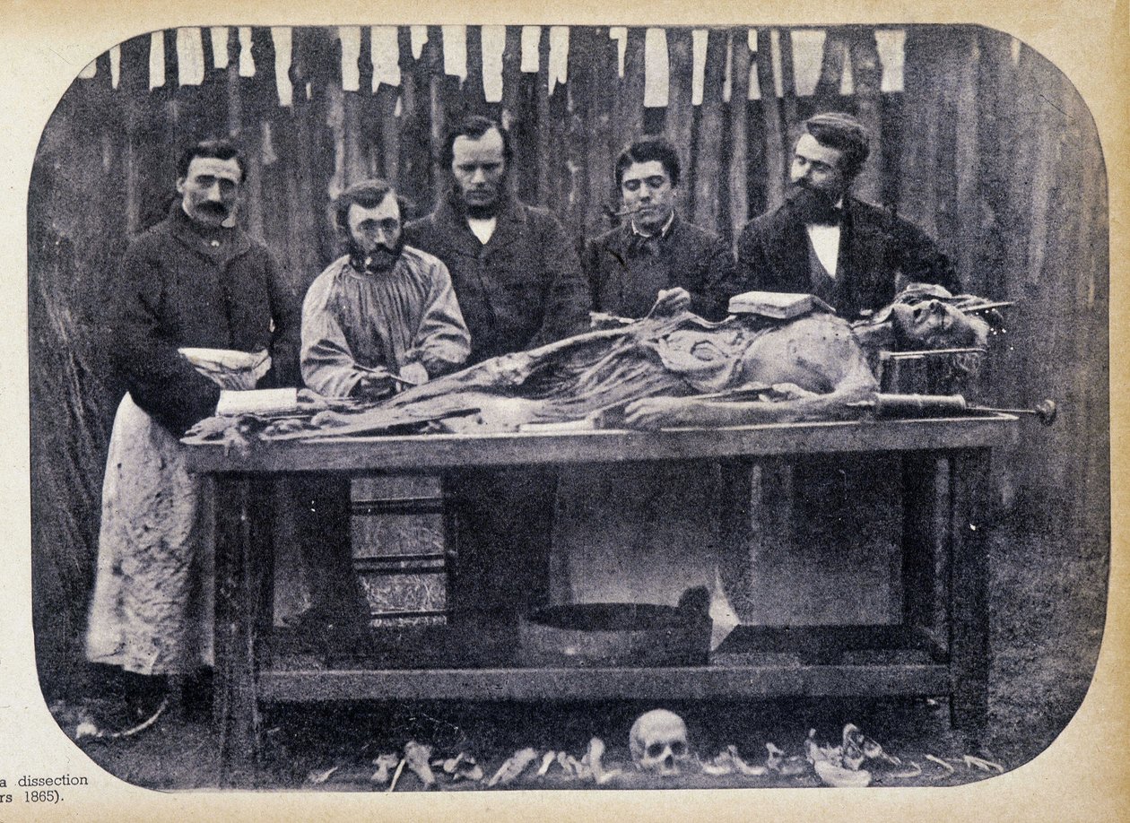 Dissecação, v.1865. de Unknown photographer