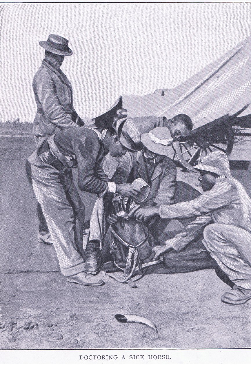 Doutoramento de um cavalo doente, de After Pretoria: The Guerilla War publicado pela Harmsworth Bros Limited de Unknown photographer
