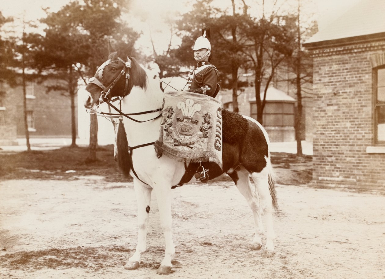 Tambor cavalo, 3rd Prince of Wales S Dragoon Guards , 1895 por volta de de Unknown photographer