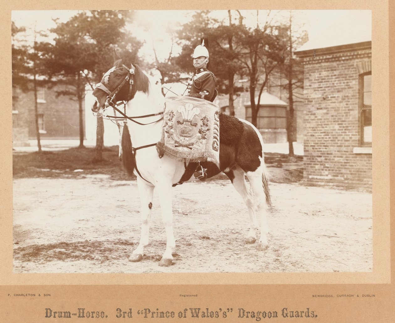  Tambor cavalo, 3rd Prince of Wales S Dragoon Guards , 1895 por volta de de Unknown photographer