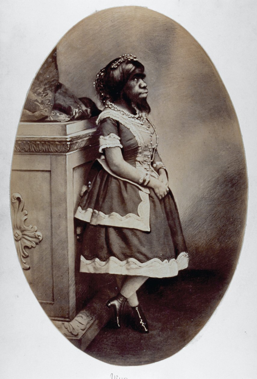 Retrato de corpo inteiro do fenómeno humano Giulia Pastrana de Unknown photographer