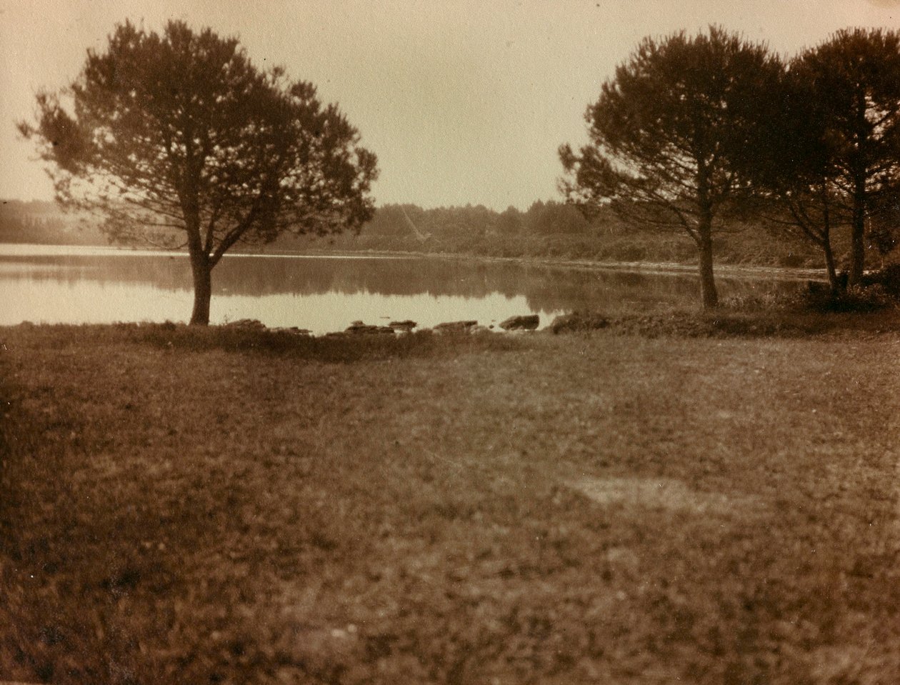 Paisagem das ilhas Brijuni de Unknown photographer