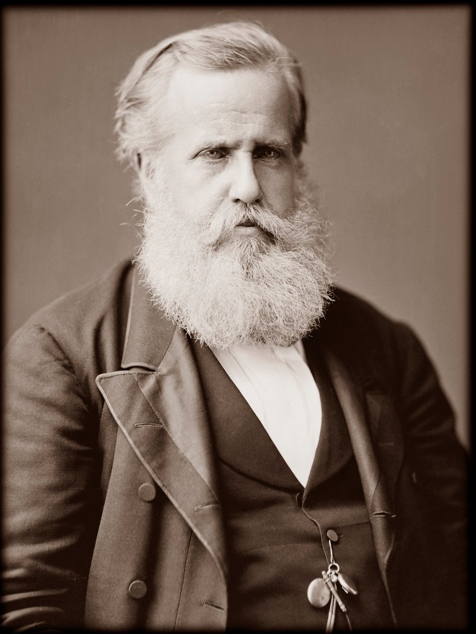 Retrato de Dom Pedro II (Pedro II) (Pedro II) (Dom Pedro de Alcântara) (1825-1891), Imperador do Brasil de Unknown photographer