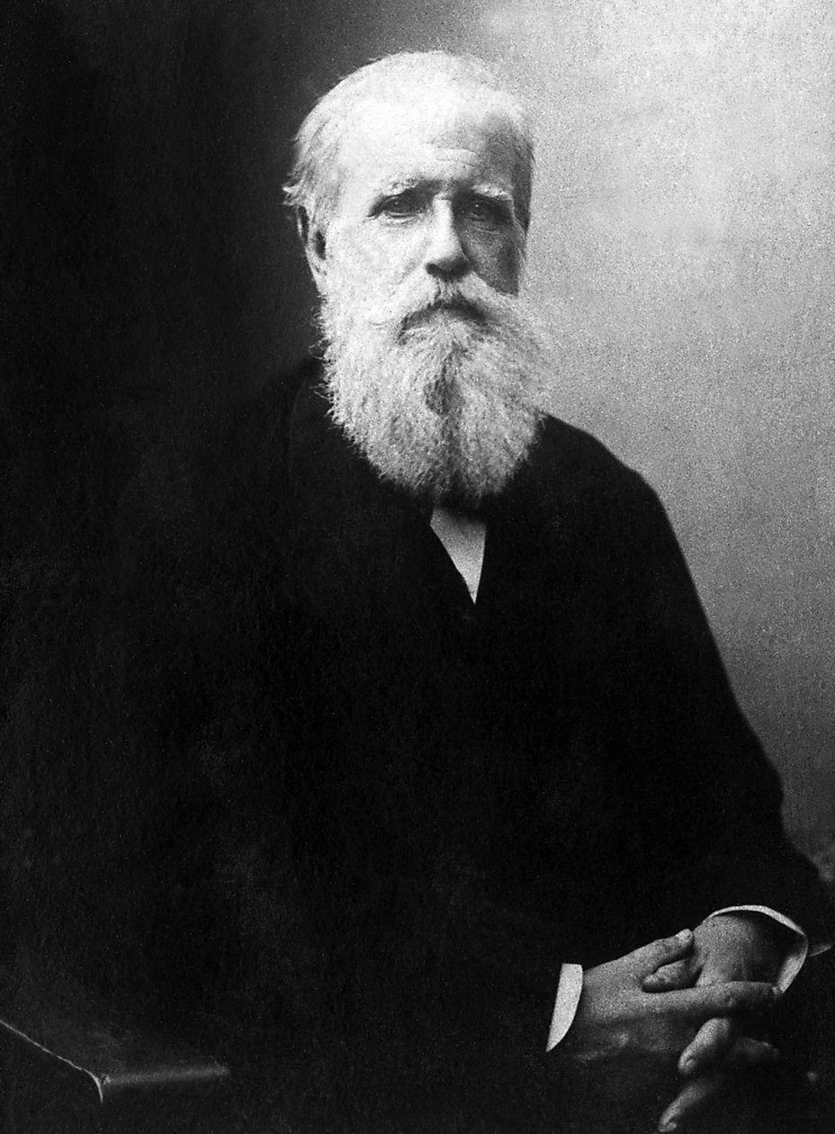 Retrato de Dom Pedro de Alcântara (Pedro II) (1825-1891), Imperador do Brasil. de Unknown photographer