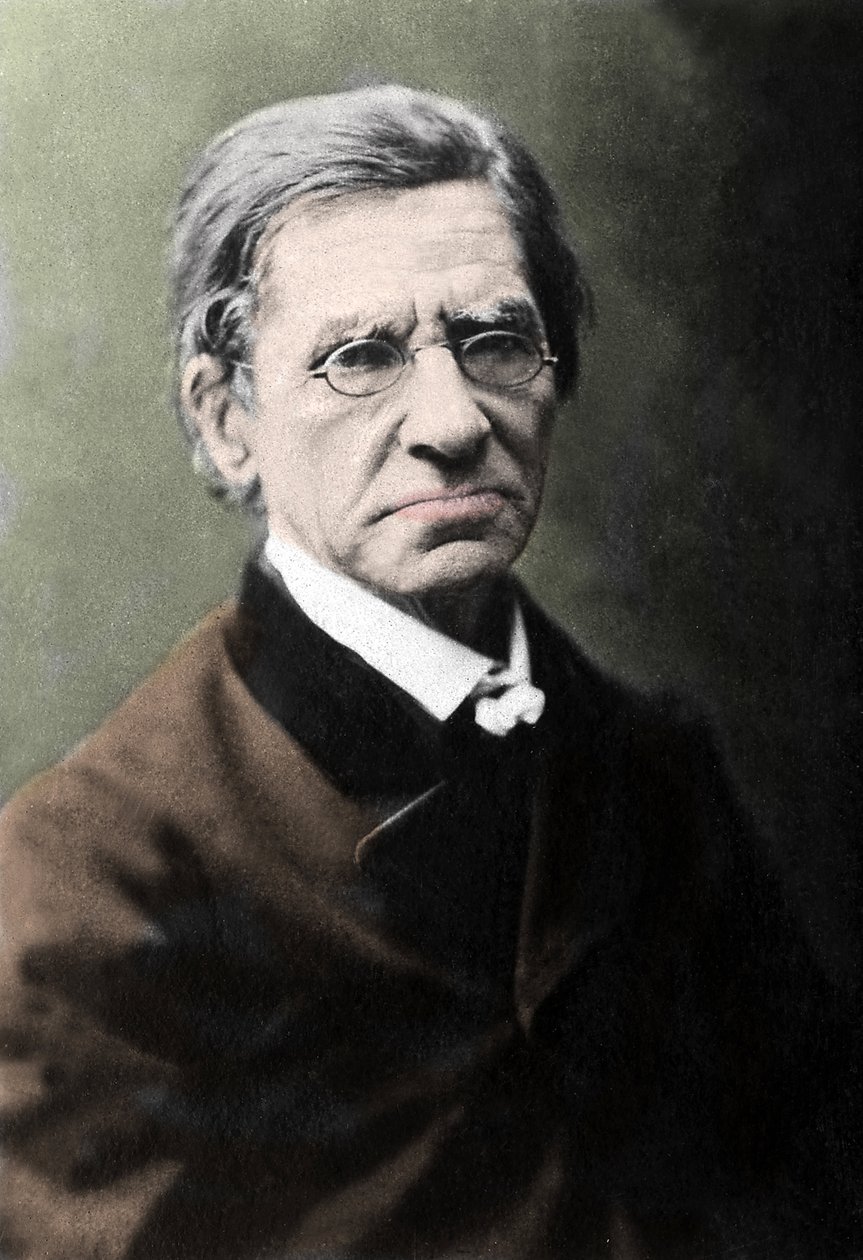 Retrato de Emile Littre (1801-1881), filólogo, médico e político francês. de Unknown photographer