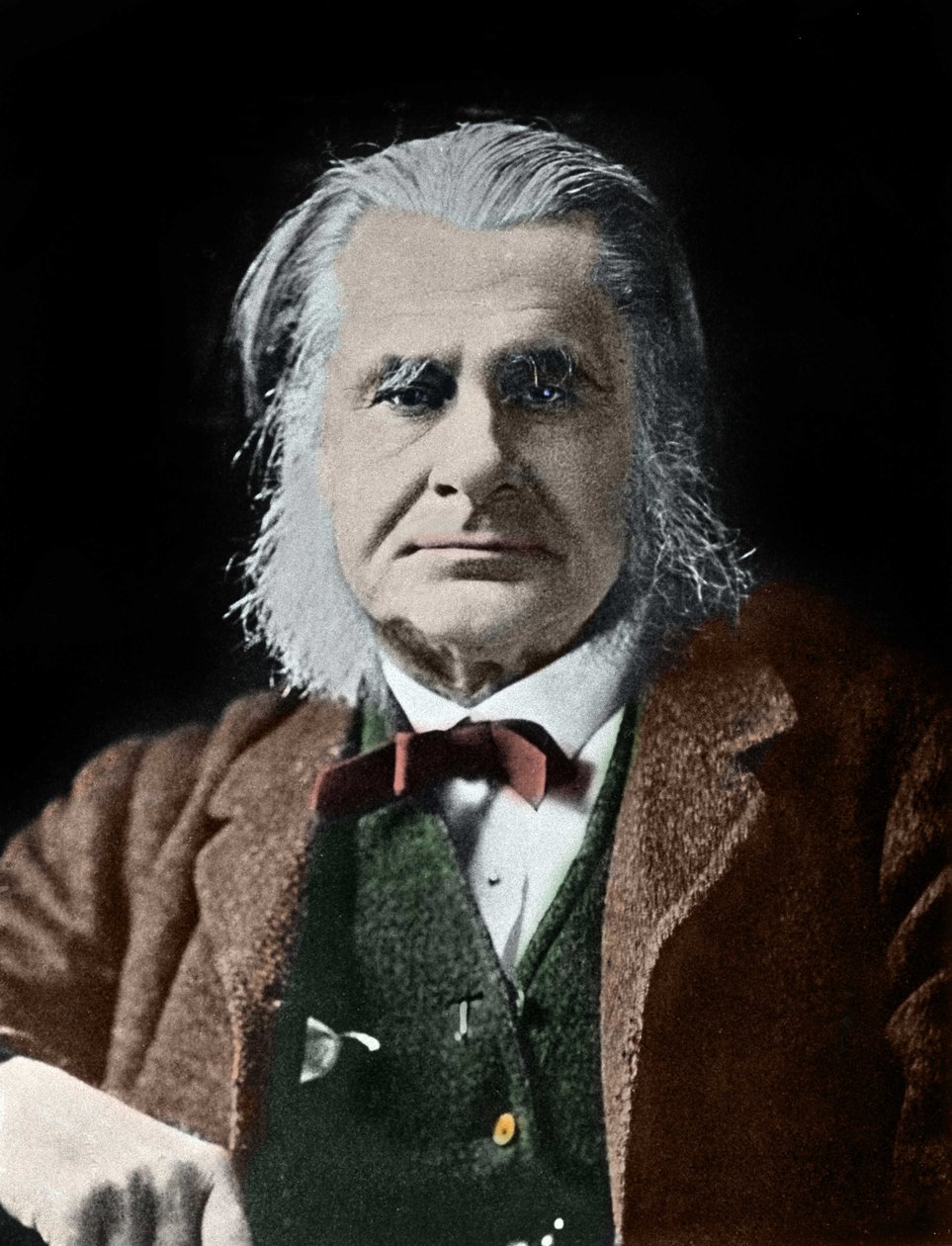 Retrato de Thomas Henry Huxley. Biólogo Britânico (1825-1895). de Unknown photographer