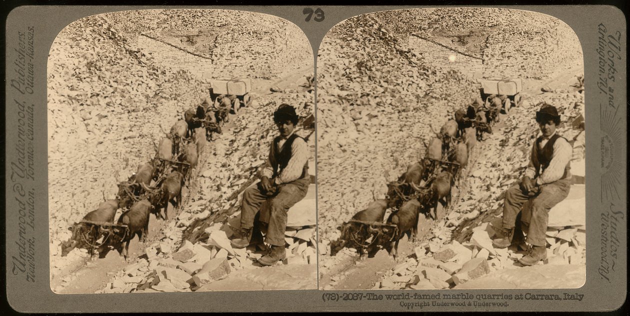 Retrato de um rapaz nas famosas pedreiras de mármore de Carrara; fotografia estereoscópica (foto a p/b) de Unknown photographer