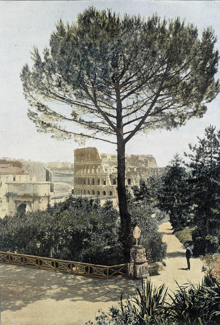 Roma, o Coliseu visto do Palantine - Arts Deco. de Unknown photographer