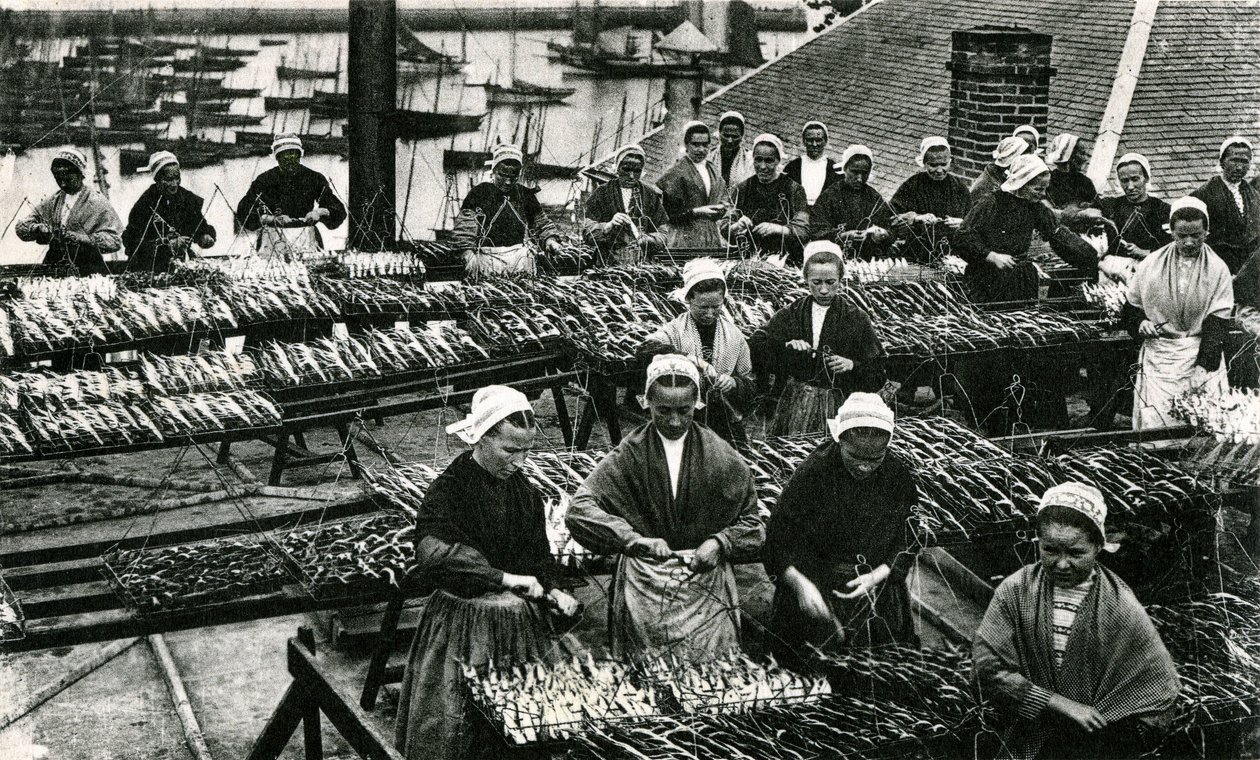 Indústria da sardinha, Finistère, Bretanha (fotografia a preto e branco) de Unknown photographer