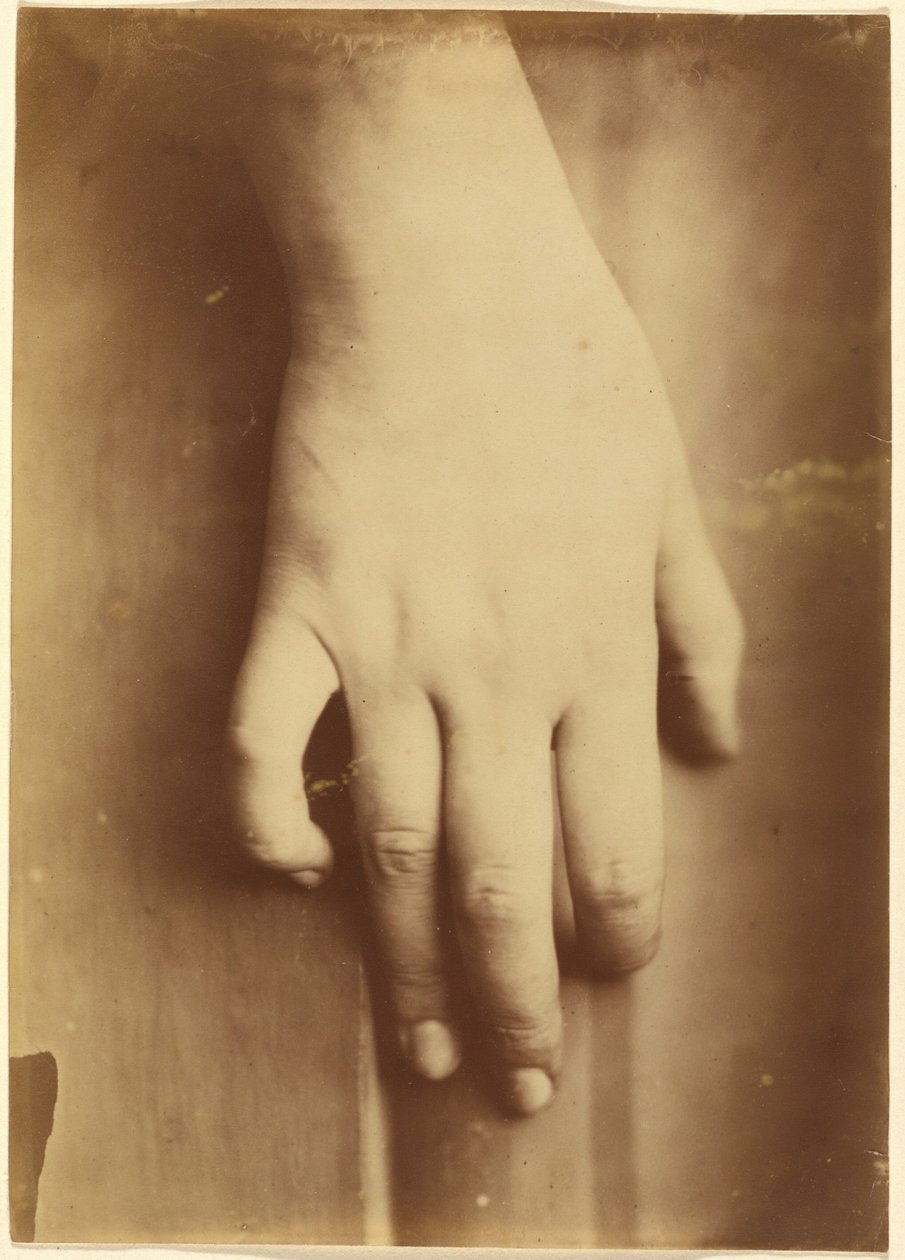 Estudo de uma mão,1865 (foto) de Unknown photographer