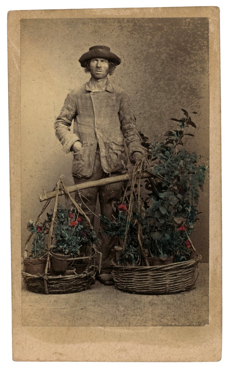 Trajes e máscaras venezianos: um vendedor ambulante de plantas de Unknown photographer