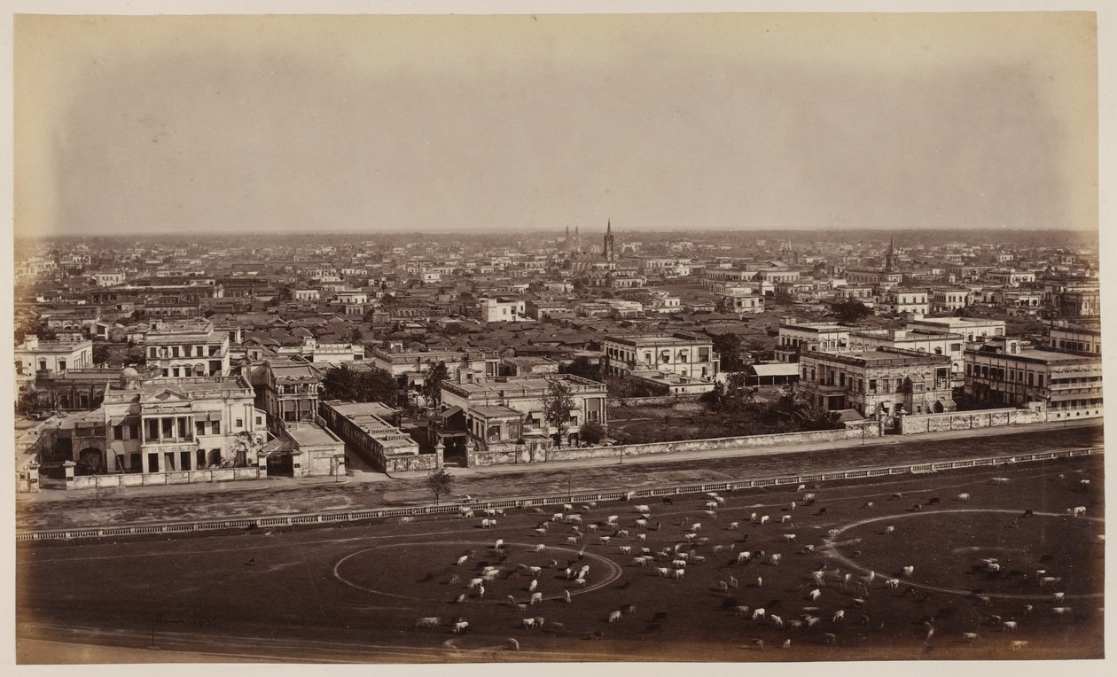 Vista do Monumento Ochterlony, Calcutá de Unknown photographer