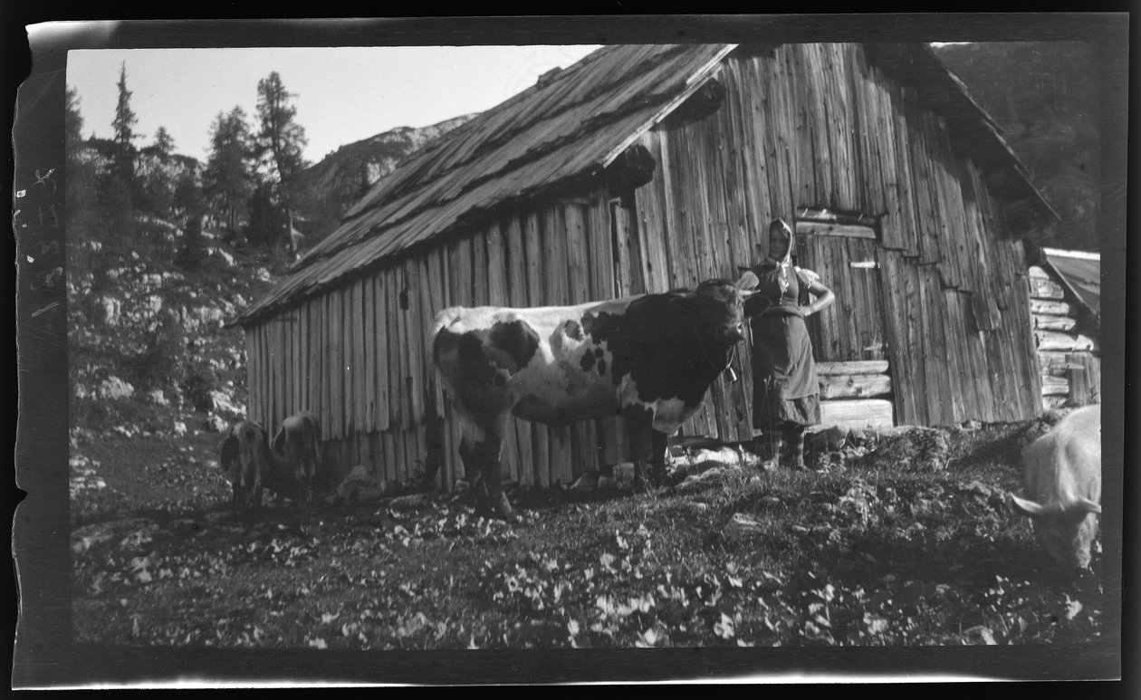 Vorderbachalm (pastagem de montanha) com cabana alpina perto de Goessl no Lago Grundl de Unknown photographer
