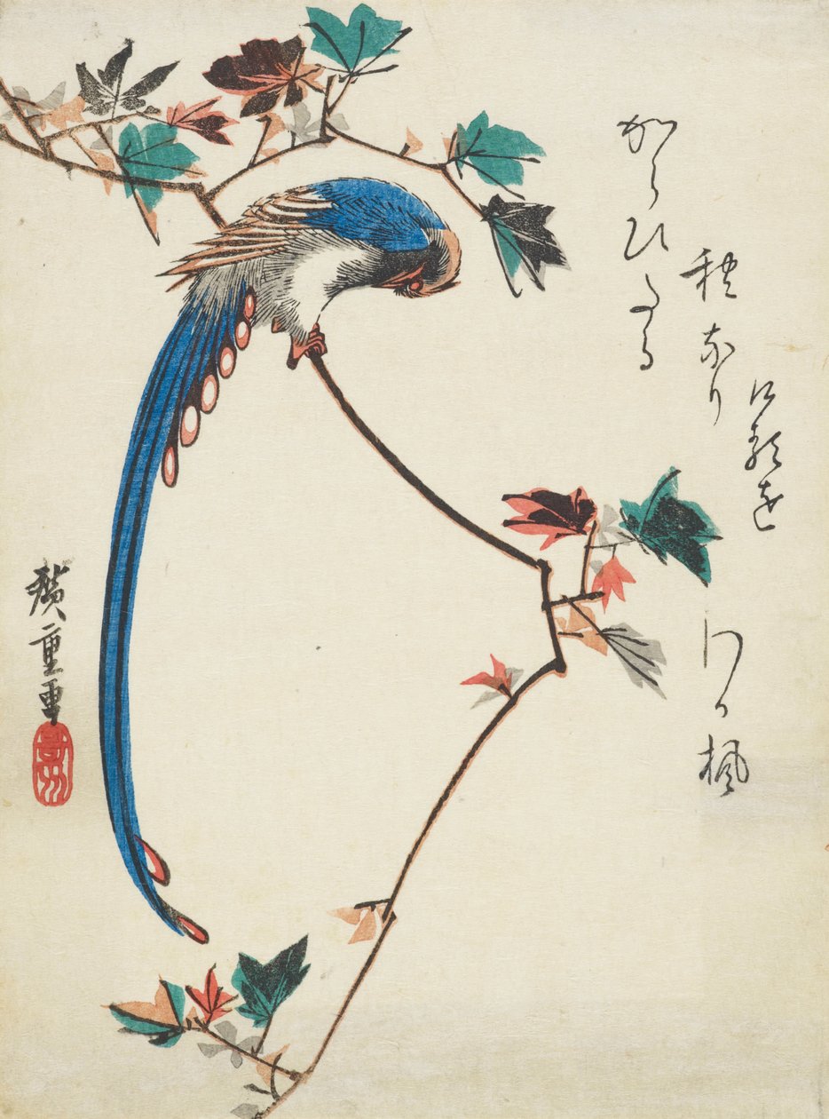 Pega azul no ramo de maple de Utagawa Hiroshige
