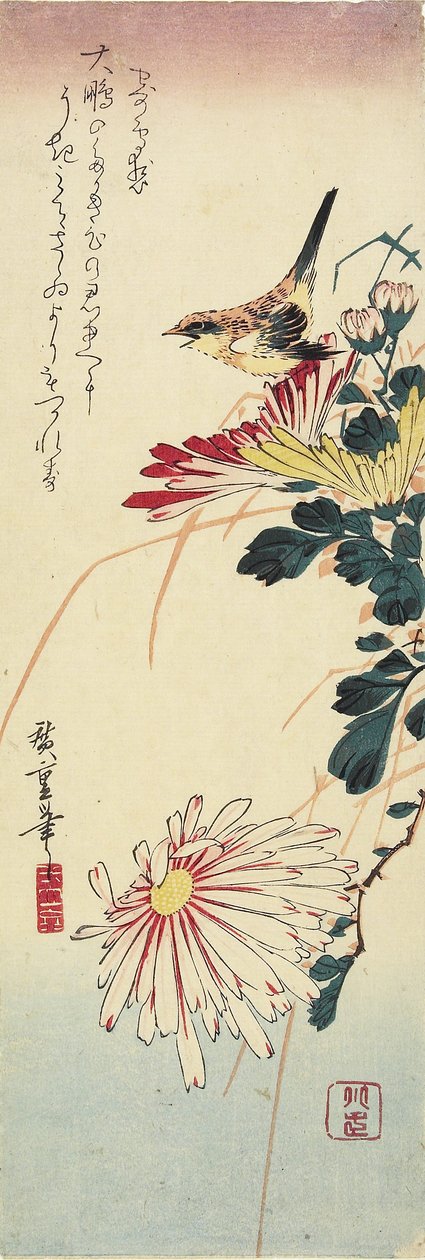 (Crisântemos e um picanço), 1830-1858 de Utagawa Hiroshige