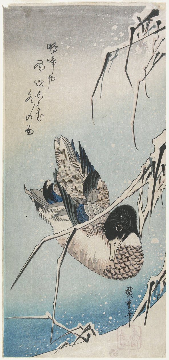 (Pato e juncos nevados), início dos anos 1830 de Utagawa Hiroshige