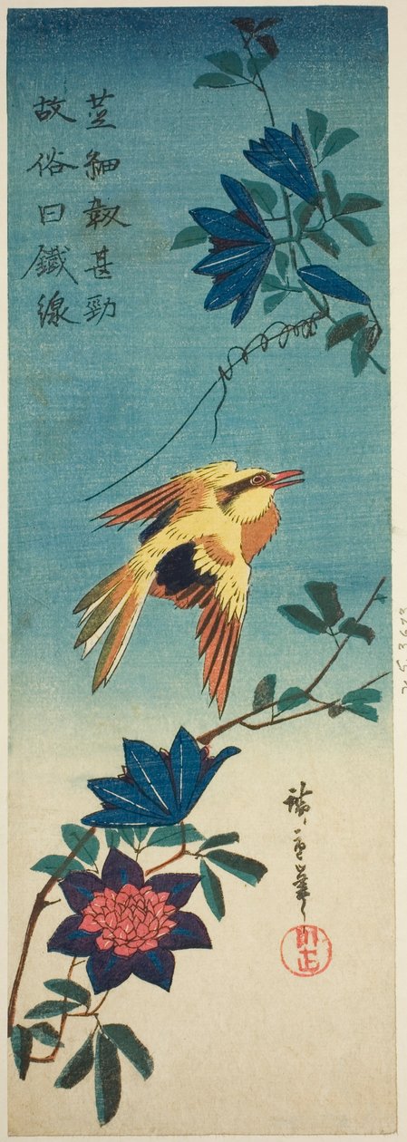 (Fac-símile?) Oriole de nuca preta e clematite de Utagawa Hiroshige