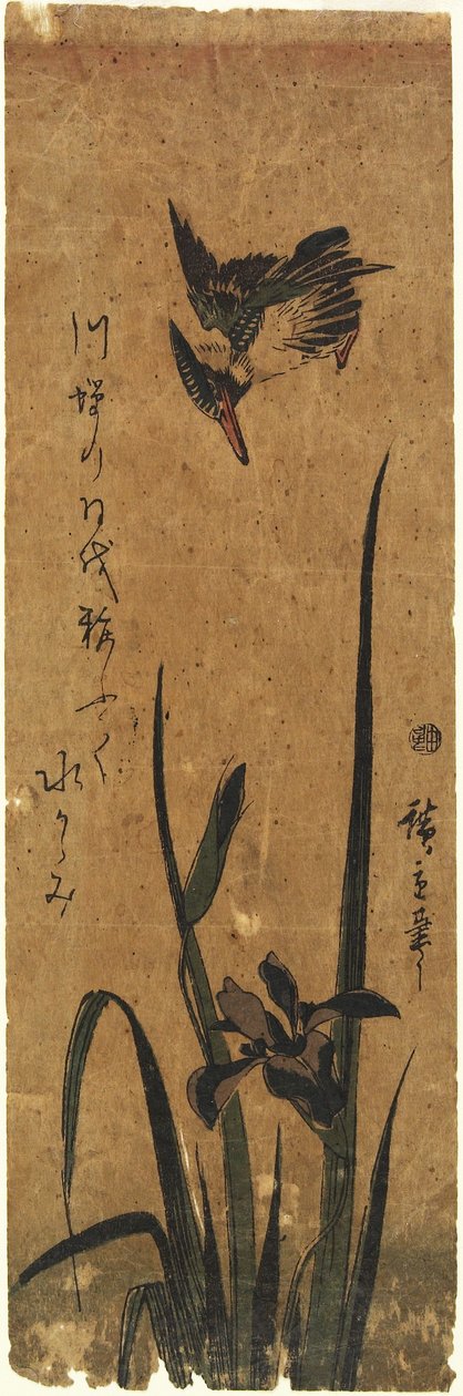 (Iris e Kingfisher), 1830-1858 de Utagawa Hiroshige
