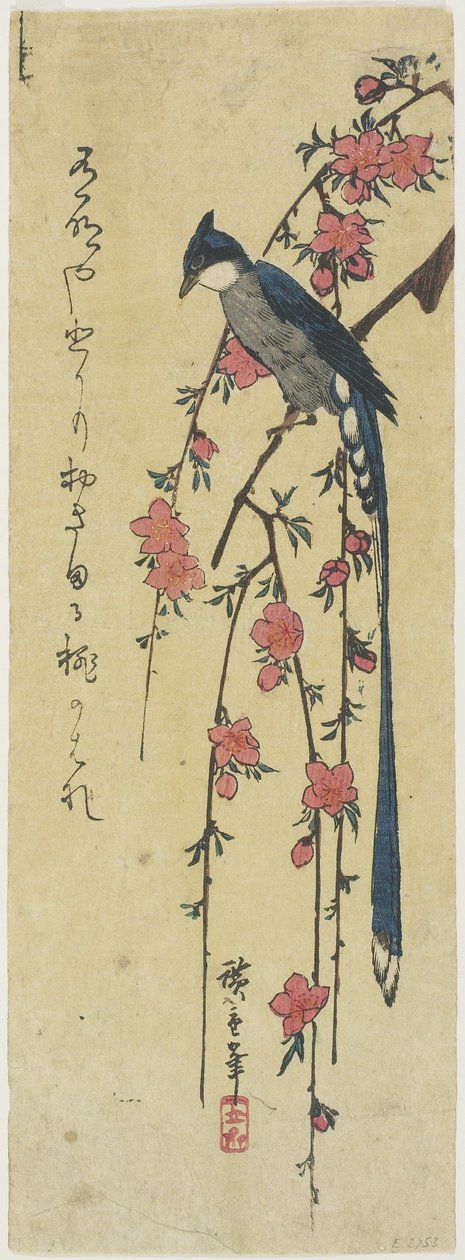 (Galo da cauda longa na árvore de cereja caída) de Utagawa Hiroshige