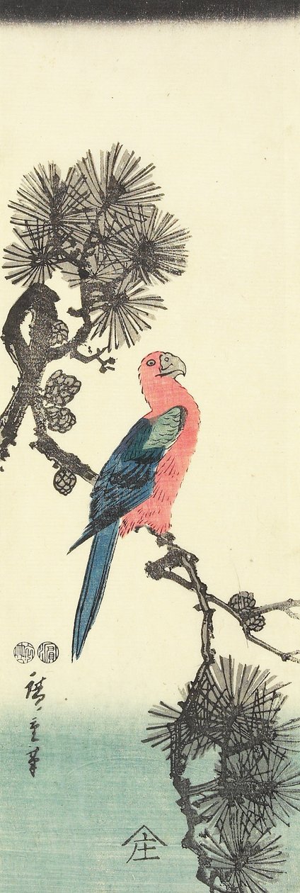 (Papagaio no pinheiro), 1847-1852 de Utagawa Hiroshige
