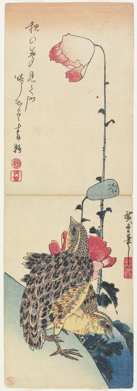 (Codornizes e papoilas), 1830-1858 de Utagawa Hiroshige