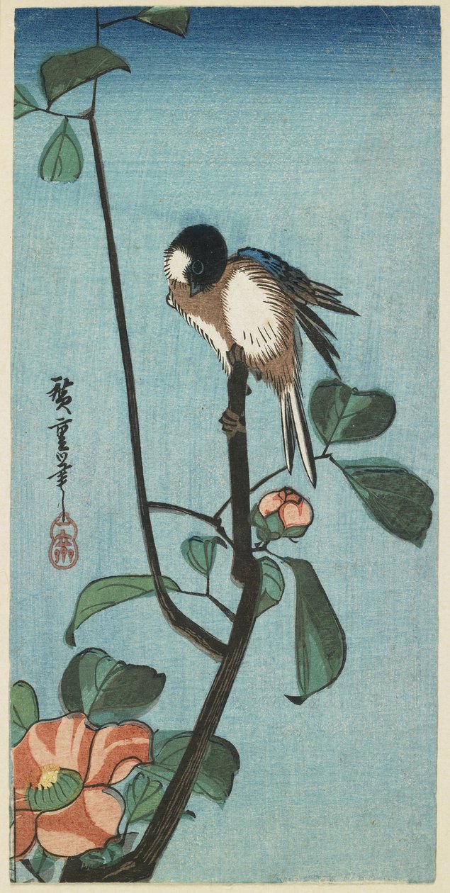 (Titmouse em Camelia), 1830-1858 de Utagawa Hiroshige