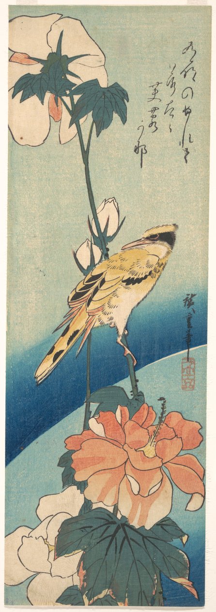 Ein Schwarzrückenpirol auf einem Hibiskusstängel de Utagawa Hiroshige